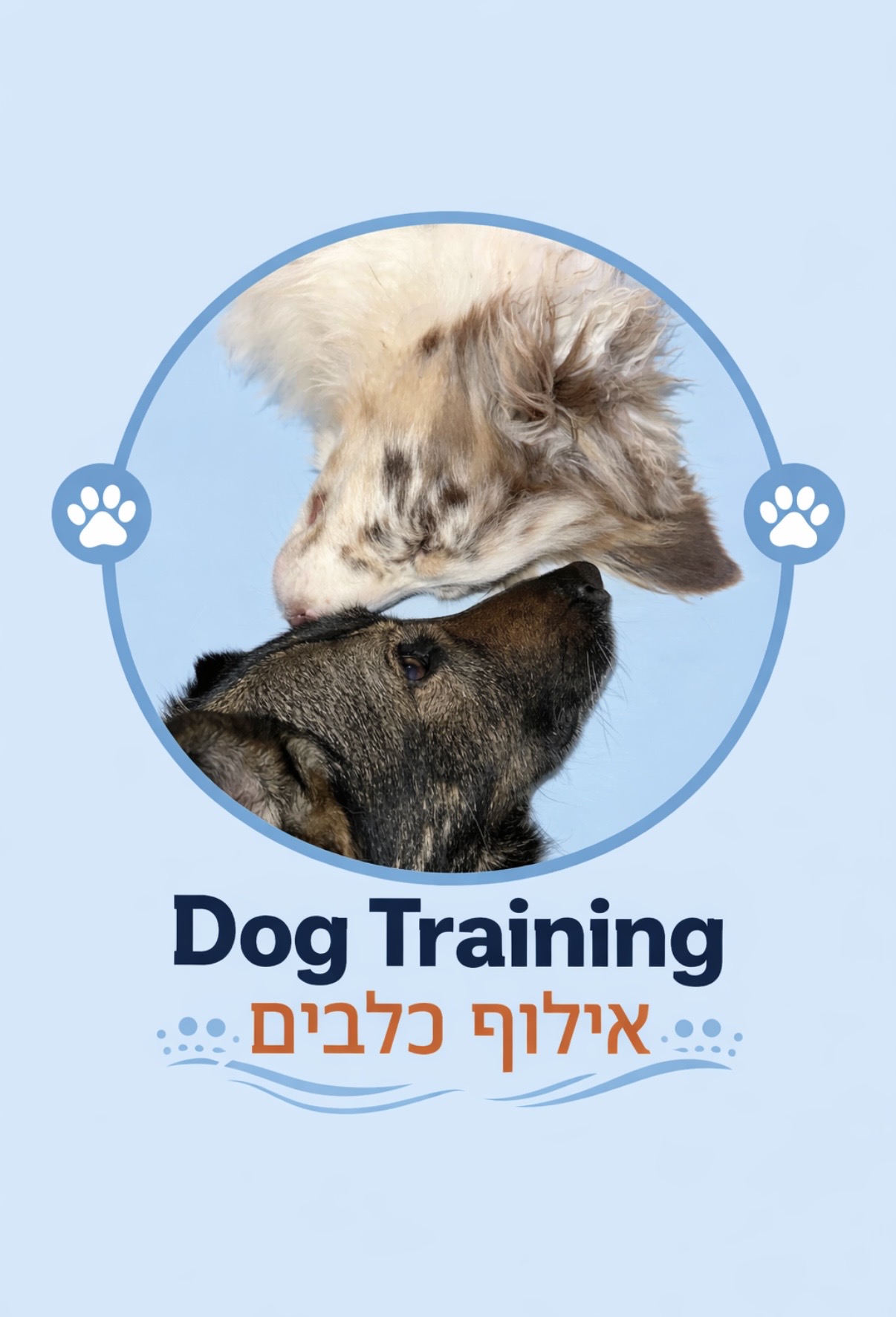 יובל כהן - אילוף וכלבנות טיפולית